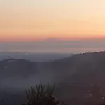 Il Colle Degli Ulivi San Calogero