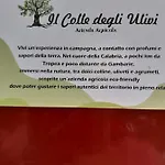 Gasthof Il Colle Degli Ulivi 3*