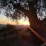 Gæstehus Il Colle Degli Ulivi 3*