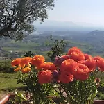 Il Colle Degli Ulivi 3*