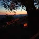 Il Colle Degli Ulivi