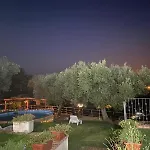 Il Colle Degli Ulivi Gæstehus San Calogero
