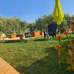 Il Colle Degli Ulivi Gasthof