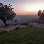 Il Colle Degli Ulivi
