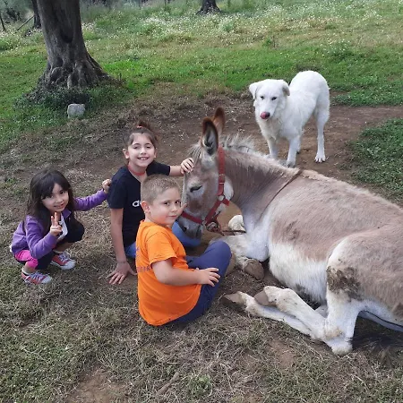 Il Colle Degli Ulivi