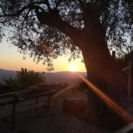 بيت ضيافة Il Colle Degli Ulivi 3*