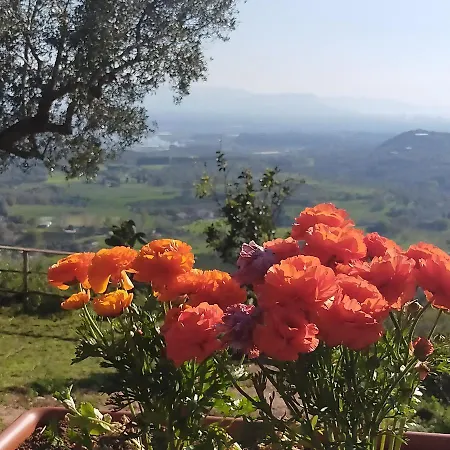 Il Colle Degli Ulivi 3*