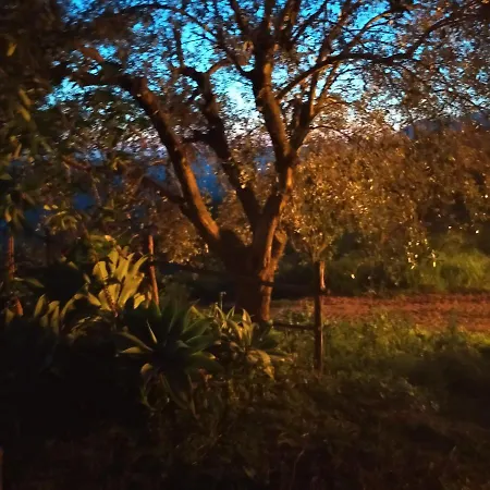 Konukevi Il Colle Degli Ulivi 3*