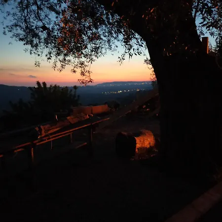 Il Colle Degli Ulivi