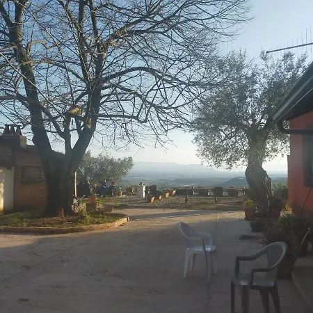 Il Colle Degli Ulivi Affittacamere