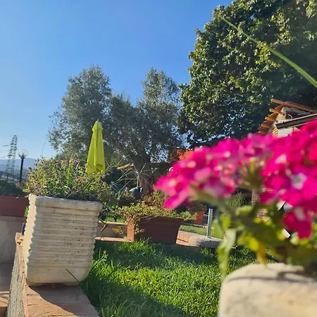 Il Colle Degli Ulivi Konukevi