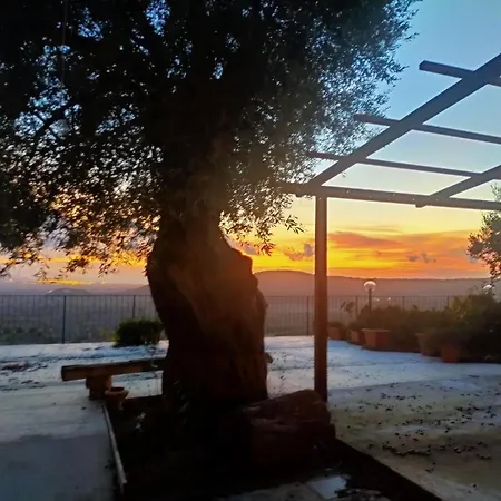 Il Colle Degli Ulivi 3*