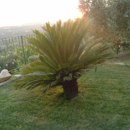 Il Colle Degli Ulivi Konukevi 3*