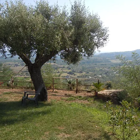 Il Colle Degli Ulivi 3* San Calogero