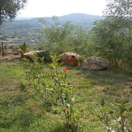 Il Colle Degli Ulivi Affittacamere 3*