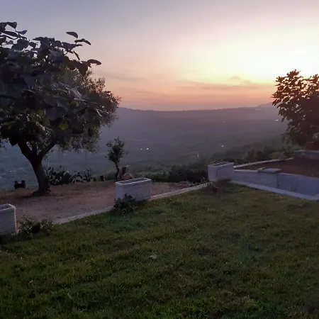 Il Colle Degli Ulivi