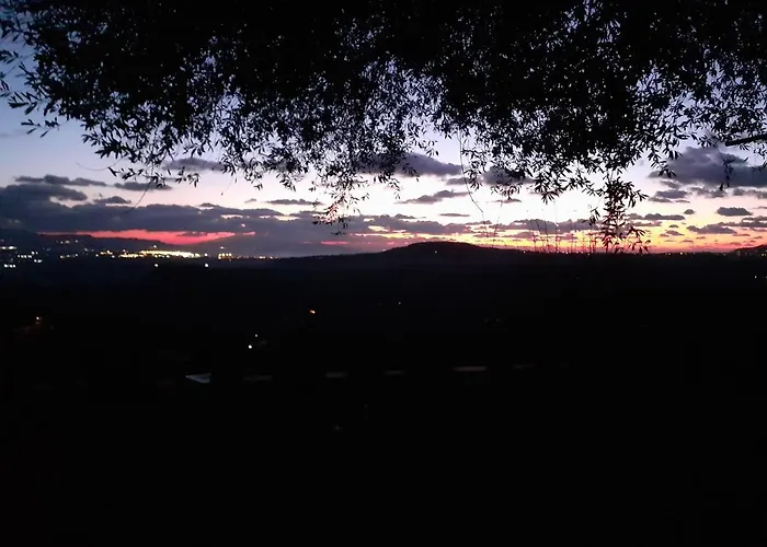 Il Colle Degli Ulivi 招待所 San Calogero