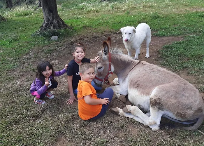 Il Colle Degli Ulivi