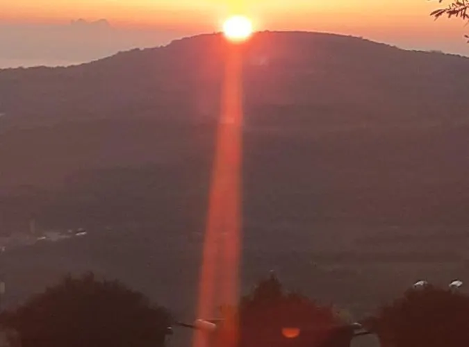 招待所 Il Colle Degli Ulivi