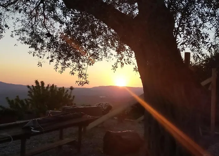 招待所 Il Colle Degli Ulivi 3*