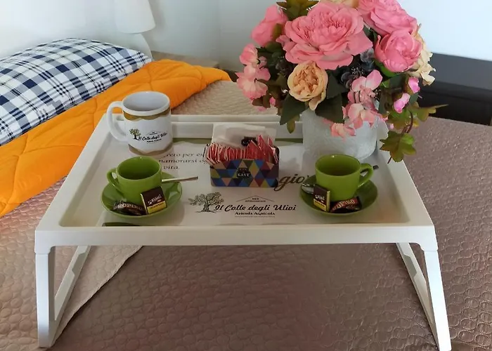 Il Colle Degli Ulivi Affittacamere