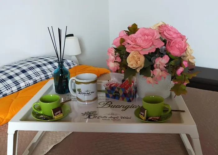 Il Colle Degli Ulivi