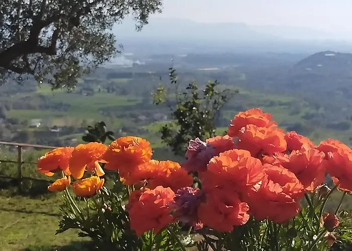 Il Colle Degli Ulivi 3*