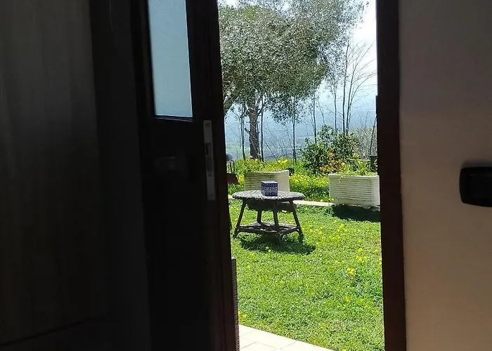 Il Colle Degli Ulivi San Calogero