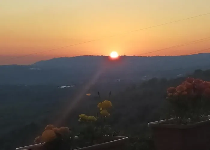 Il Colle Degli Ulivi 3*