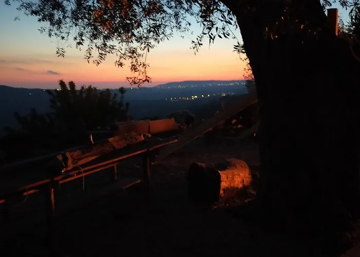 Il Colle Degli Ulivi