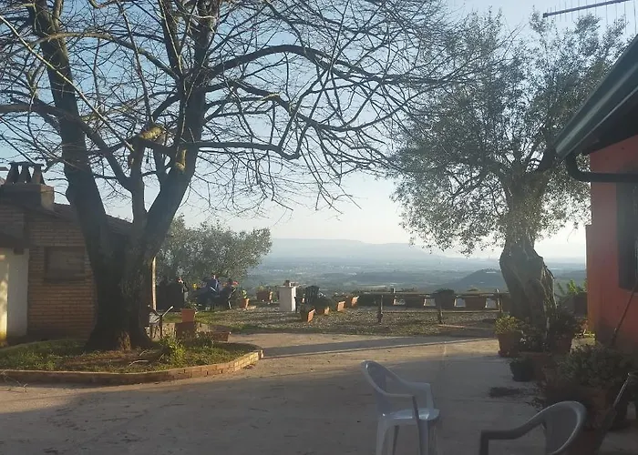 Il Colle Degli Ulivi Affittacamere