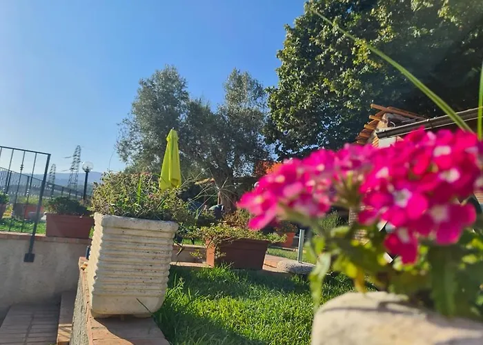 Il Colle Degli Ulivi 招待所