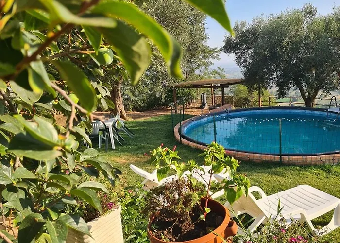 Il Colle Degli Ulivi Affittacamere 3*