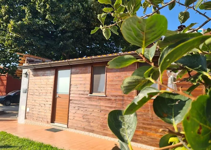 招待所 Il Colle Degli Ulivi 3*