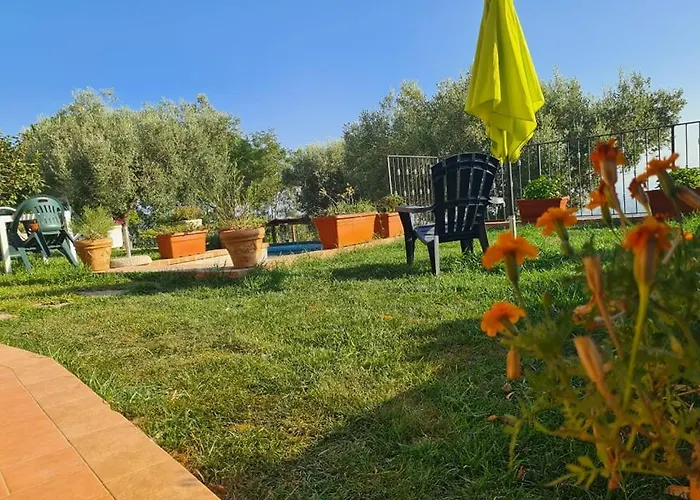 Il Colle Degli Ulivi 招待所