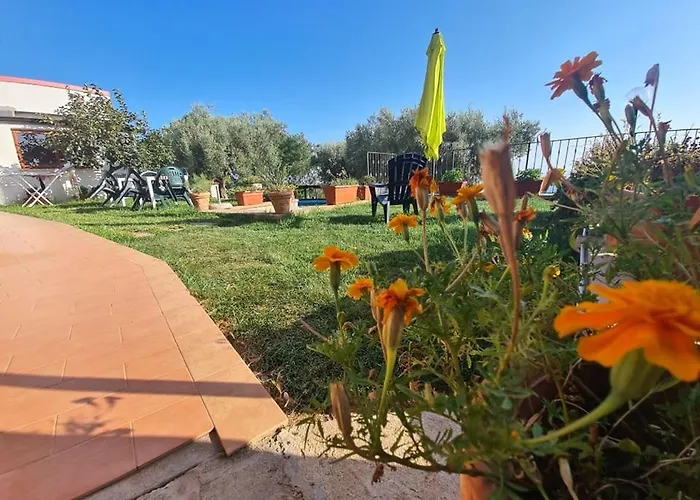 Il Colle Degli Ulivi Affittacamere 3*