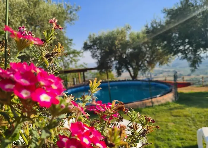 Il Colle Degli Ulivi Affittacamere