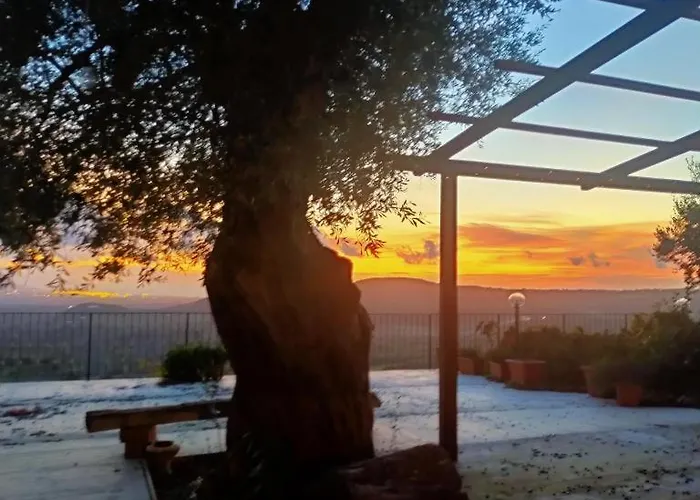 Il Colle Degli Ulivi 3*