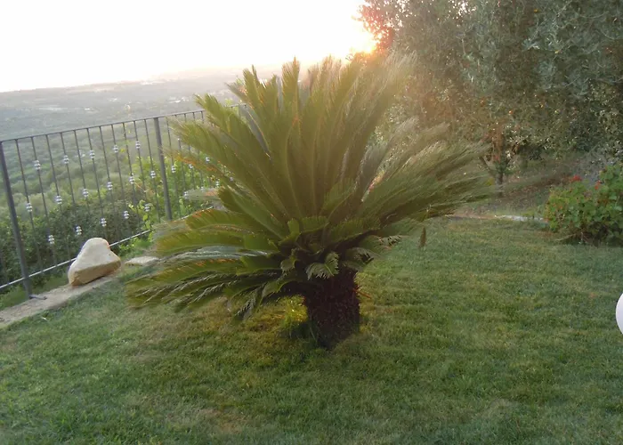 Il Colle Degli Ulivi 招待所 3*