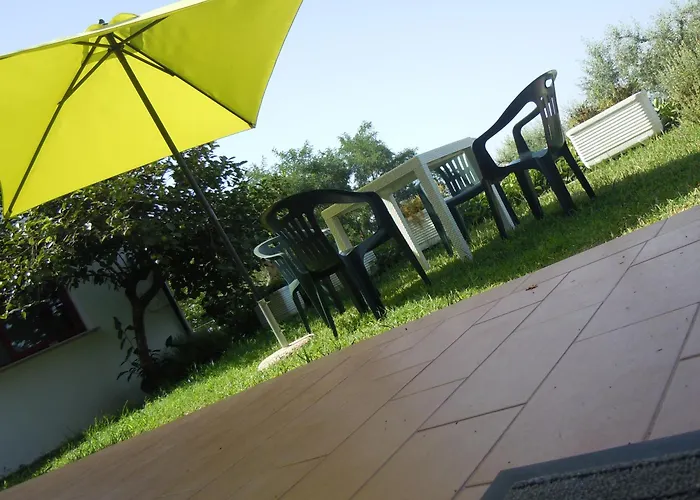 Il Colle Degli Ulivi