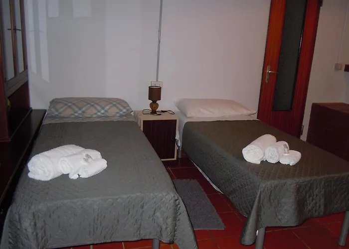 招待所 Il Colle Degli Ulivi